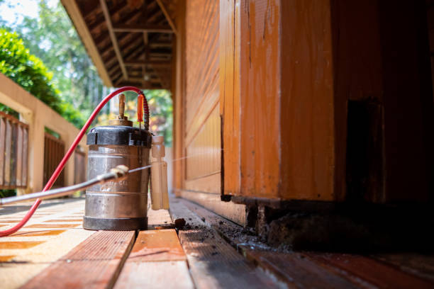 Best Pest Control Cost  in New Madison, OH