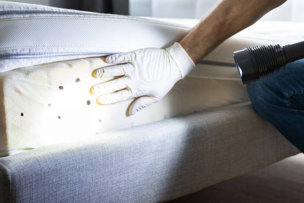 New Madison, OH Pest Control Company